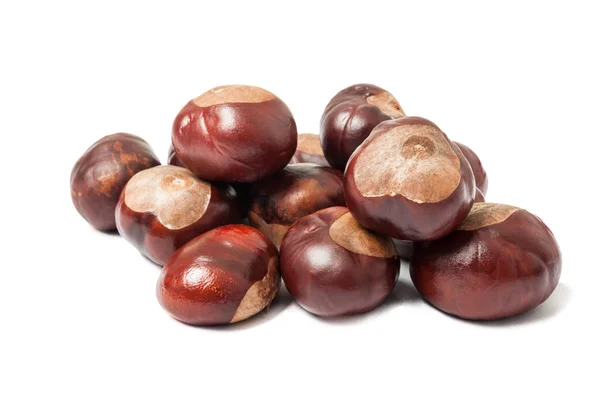 Horse chestnut fruits